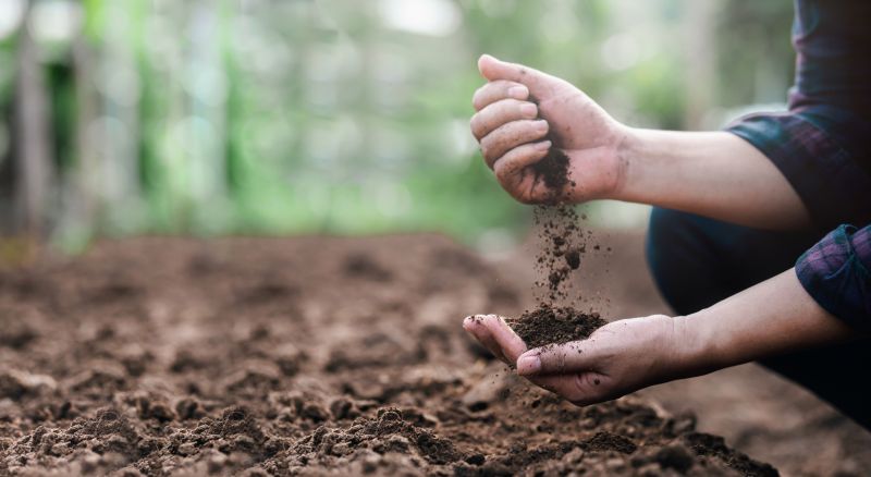 Soil Enhancement Service