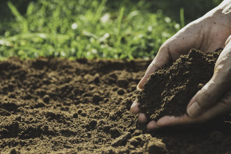Soil Enhancement